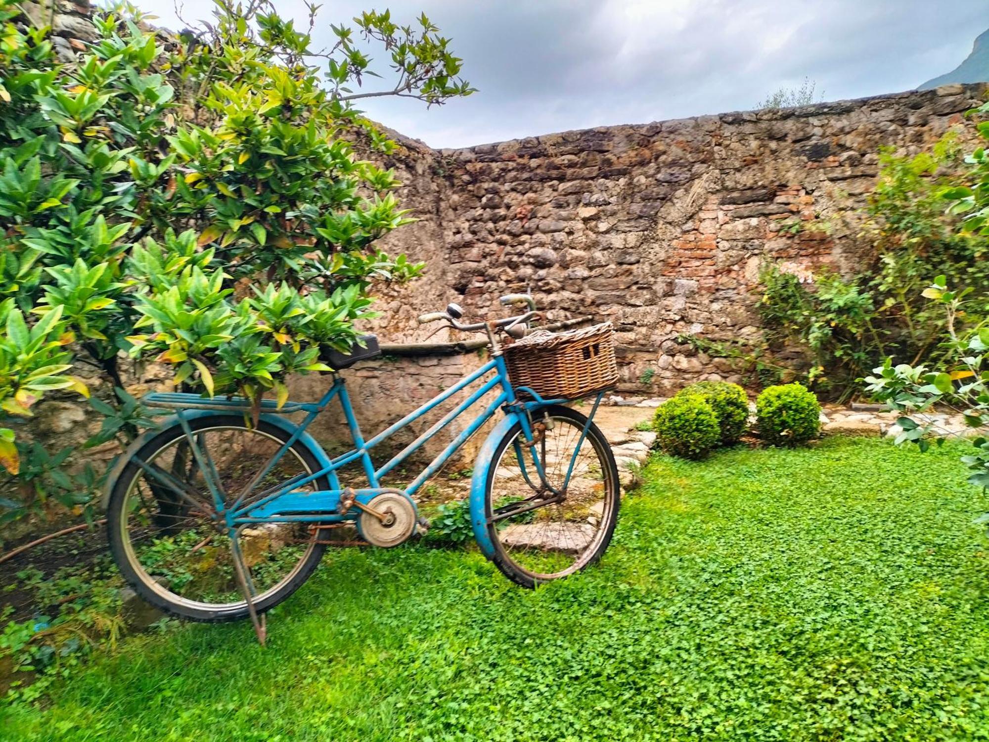 Badia Giulia Prestigious Historical B&B, Camaiore - Adults Only - No Pets エクステリア 写真